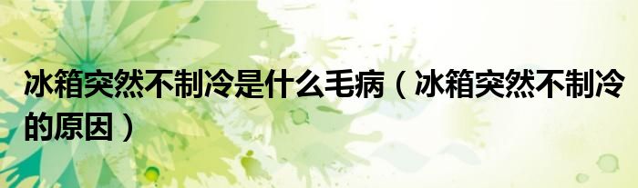 冰箱突然不制冷是什么毛病（冰箱突然不制冷的原因）