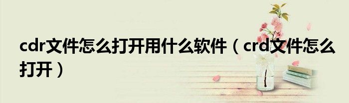 cdr文件怎么打开用什么软件（crd文件怎么打开）