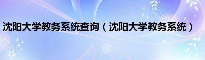 沈阳大学教务系统查询（沈阳大学教务系统）
