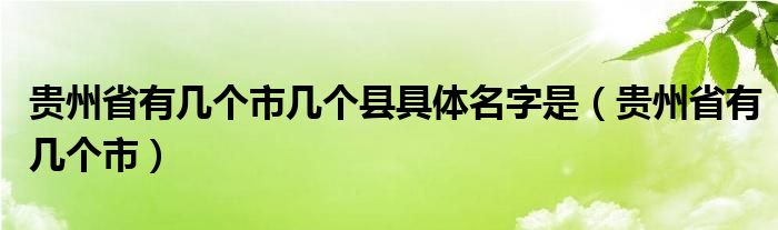 贵州省有几个市几个县具体名字是（贵州省有几个市）