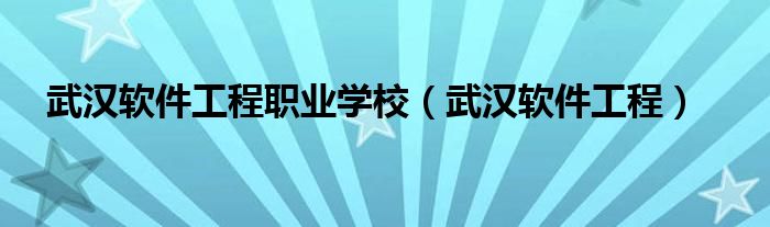 武汉软件工程职业学校（武汉软件工程）