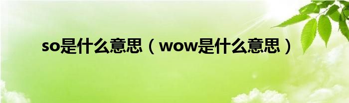 so是什么意思（wow是什么意思）