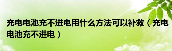 充电电池充不进电用什么方法可以补救（充电电池充不进电）