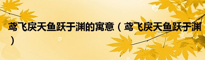 鸢飞戾天鱼跃于渊的寓意（鸢飞戾天鱼跃于渊）