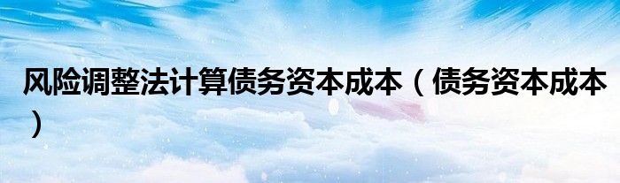 风险调整法计算债务资本成本（债务资本成本）