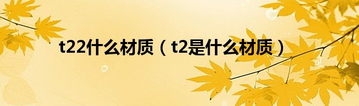 t22什么材质（t2是什么材质）