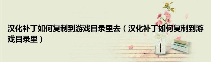 汉化补丁如何复制到游戏目录里去（汉化补丁如何复制到游戏目录里）