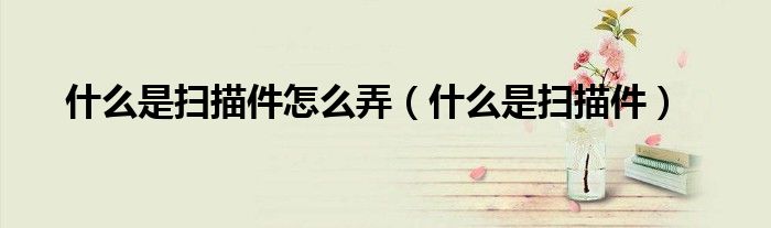 什么是扫描件怎么弄（什么是扫描件）