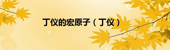 丁仪的宏原子（丁仪）