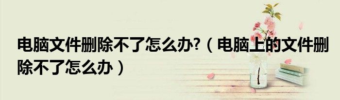 电脑文件删除不了怎么办?（电脑上的文件删除不了怎么办）