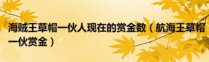海贼王草帽一伙人现在的赏金数（航海王草帽一伙赏金）