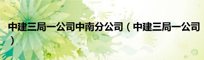 中建三局一公司中南分公司（中建三局一公司）