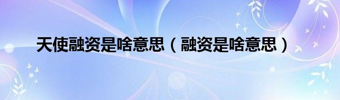 天使融资是啥意思（融资是啥意思）