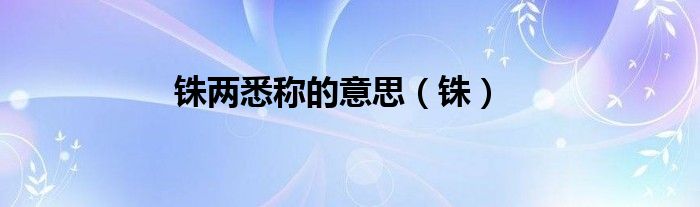 铢两悉称的意思（铢）