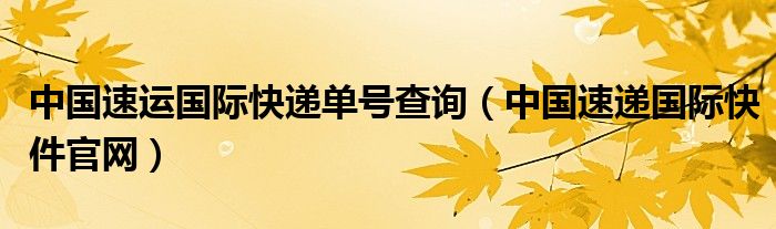 中国速运国际快递单号查询（中国速递国际快件官网）