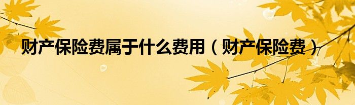 财产保险费属于什么费用（财产保险费）