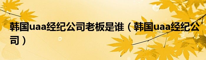 韩国uaa经纪公司老板是谁（韩国uaa经纪公司）