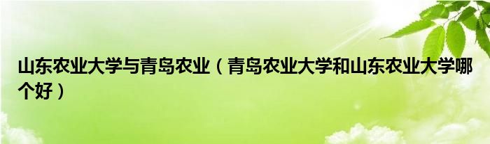 山东农业大学与青岛农业（青岛农业大学和山东农业大学哪个好）