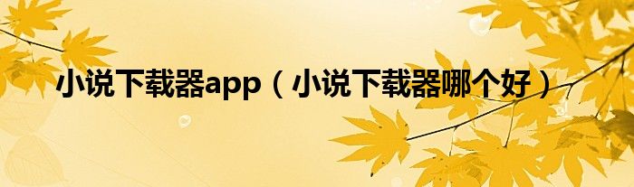 小说下载器app（小说下载器哪个好）