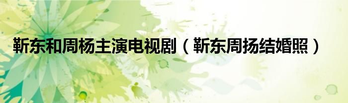 靳东和周杨主演电视剧（靳东周扬结婚照）