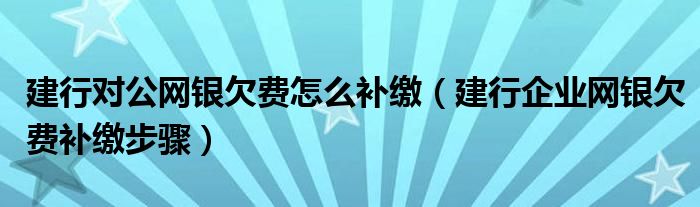 建行对公网银欠费怎么补缴（建行企业网银欠费补缴步骤）