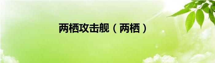 两栖攻击舰（两栖）