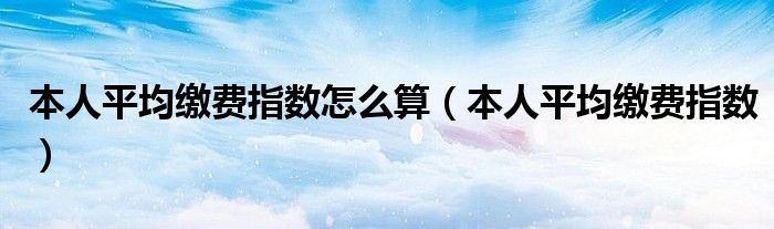 本人平均缴费指数怎么算（本人平均缴费指数）