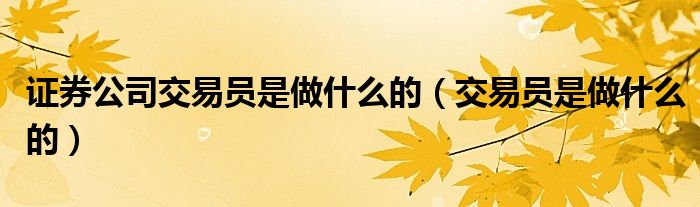 证券公司交易员是做什么的（交易员是做什么的）