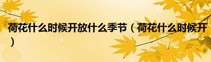 荷花什么时候开放什么季节（荷花什么时候开）