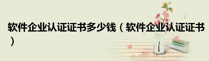 软件企业认证证书多少钱（软件企业认证证书）