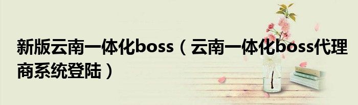 新版云南一体化boss（云南一体化boss代理商系统登陆）
