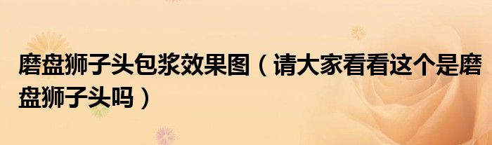 磨盘狮子头包浆效果图（请大家看看这个是磨盘狮子头吗）