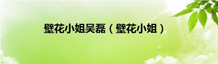 壁花小姐吴磊（壁花小姐）