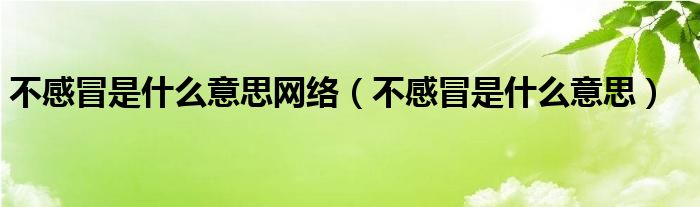不感冒是什么意思网络（不感冒是什么意思）