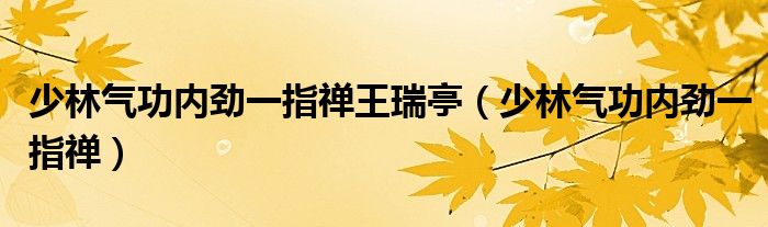 少林气功内劲一指禅王瑞亭（少林气功内劲一指禅）