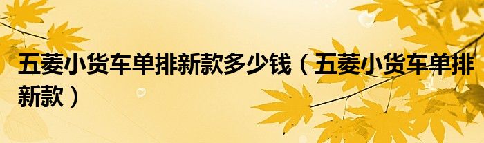 五菱小货车单排新款多少钱（五菱小货车单排新款）