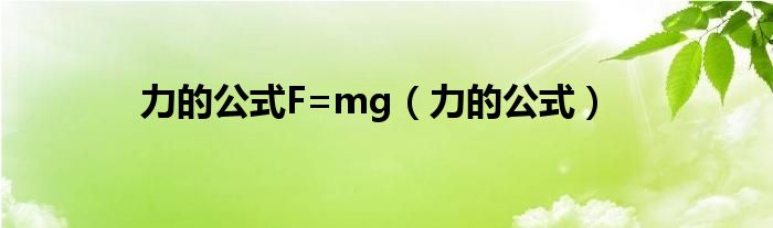 力的公式F=mg（力的公式）