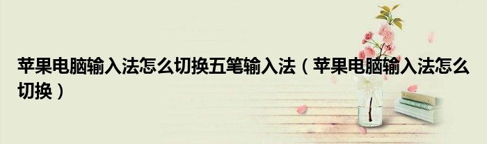 苹果电脑输入法怎么切换五笔输入法（苹果电脑输入法怎么切换）