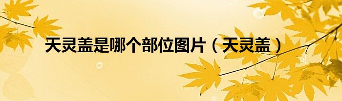 天灵盖是哪个部位图片（天灵盖）