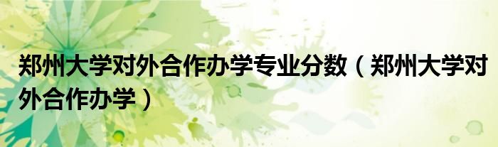 郑州大学对外合作办学专业分数（郑州大学对外合作办学）