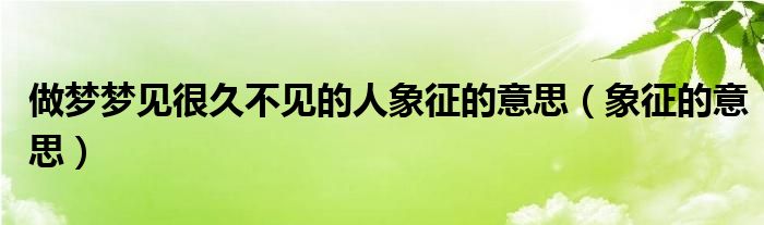 做梦梦见很久不见的人象征的意思（象征的意思）