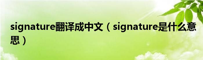 signature翻译成中文（signature是什么意思）