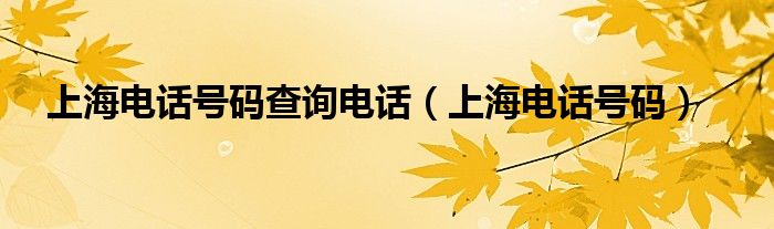 上海电话号码查询电话（上海电话号码）