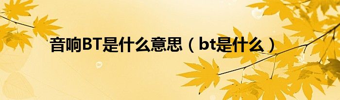音响BT是什么意思（bt是什么）