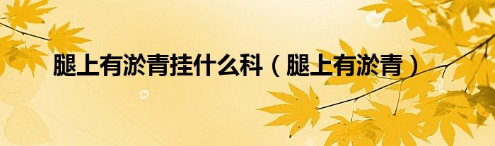 腿上有淤青挂什么科（腿上有淤青）