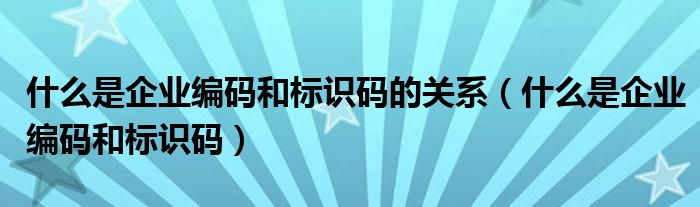 什么是企业编码和标识码的关系（什么是企业编码和标识码）