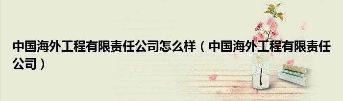 中国海外工程有限责任公司怎么样（中国海外工程有限责任公司）