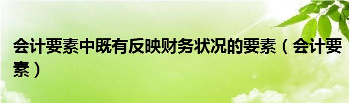 会计要素中既有反映财务状况的要素（会计要素）