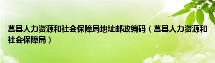 莒县人力资源和社会保障局地址邮政编码（莒县人力资源和社会保障局）