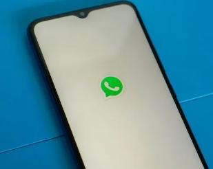 WhatsApp可让您更改聊天主题颜色和样式